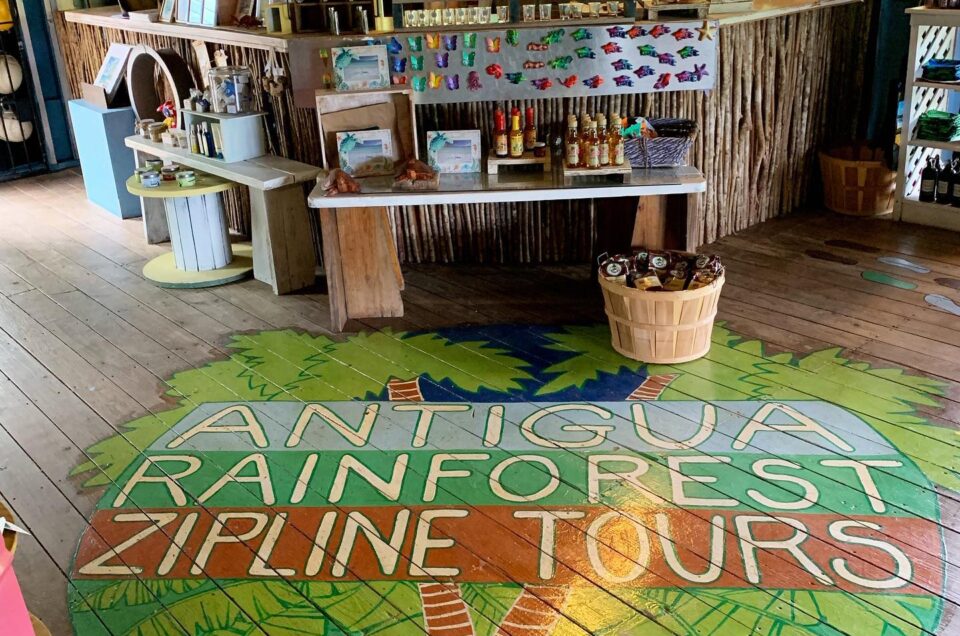Zipline with Rainforest Canopy Tour
