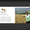Simply Antigua Barbuda Coffee table book - signed edition - Image 5