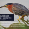 Simply Antigua Barbuda Coffee table book - signed edition - Image 2