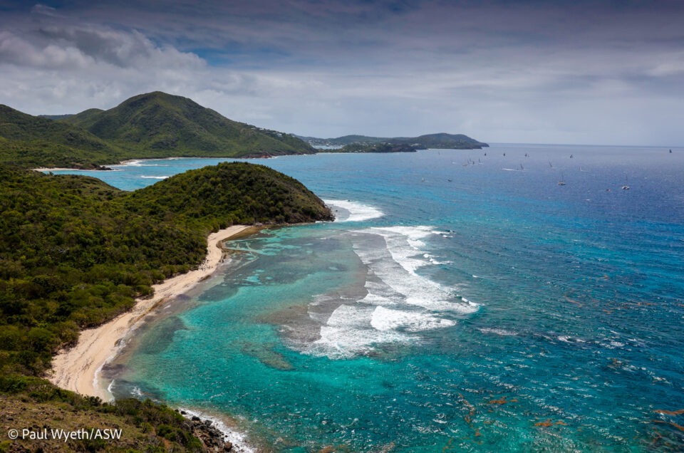 REGATTAS OVERVIEW -  LIVE  Q &A